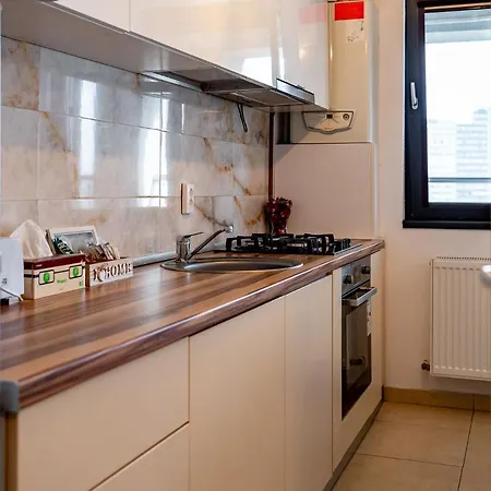 Apartment Lujerului *