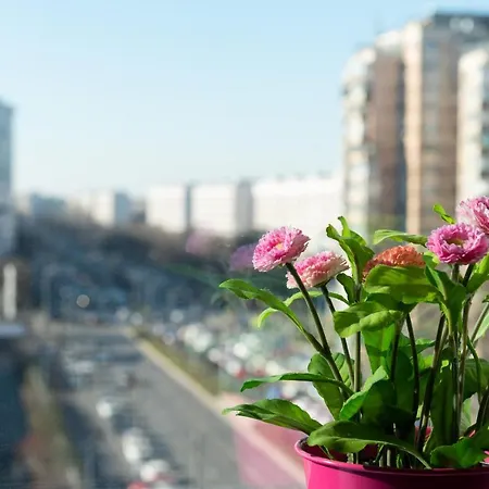 Apartment Lujerului Bucharest