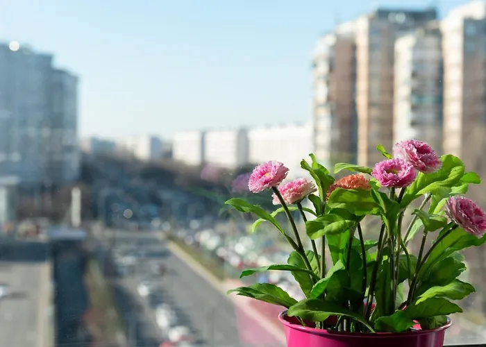 Apartamento Lujerului Bucarest